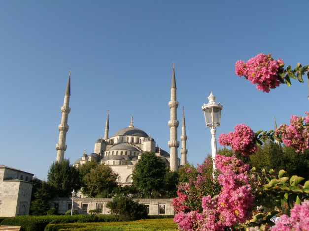 Обои картинки фото цветы, востока, города, стамбул, турция