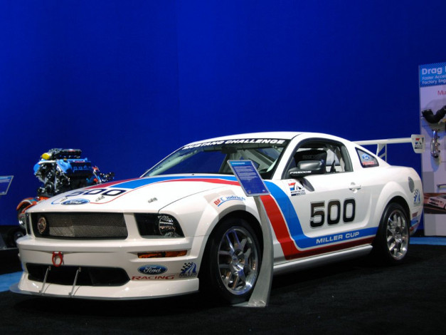 Обои картинки фото 2008, ford, mustang, fr500s, автомобили