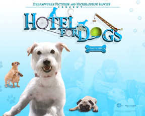 Картинка hotel for dogs кино фильмы