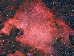 Картинка ngc 7000 космос галактики туманности