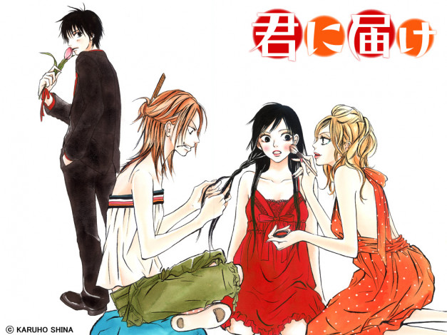 Обои картинки фото аниме, kimi, ni, todoke