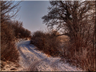 Картинка природа дороги зима деревья