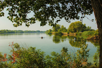 Картинка природа реки озера вода дерево