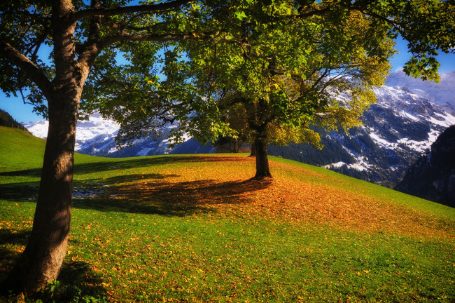 Обои картинки фото urigen, untersch&, 228, chen, switzerland, природа, деревья, уриген, швейцария, осень, горы, unterschachen, унтершехен