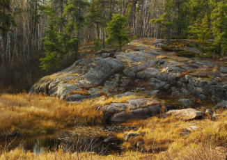 Картинка природа лес ручей скалы
