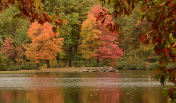 Картинка природа реки озера деревья осень река