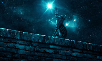 Картинка фэнтези фотоарт лапа стена ночь кошка звезда звездное небо