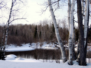 Картинка природа зима березы снег река