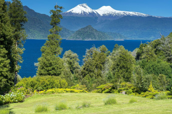 Картинка Чили природа пейзажи озеро горы деревья