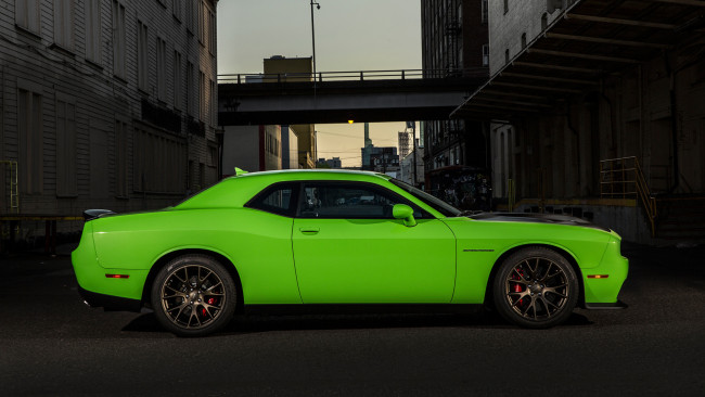 Обои картинки фото dodge challenger srt supercharged hemi hellcat 2015, автомобили, dodge, srt, hemi, supercharged, challenger, hellcat, 2015