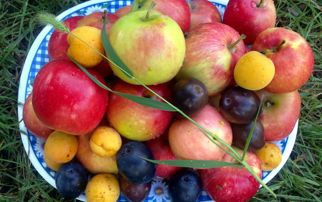 Обои картинки фото еда, фрукты,  ягоды, абрикосы, сливы, яблоки