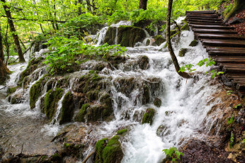 Картинка природа водопады лес река камни