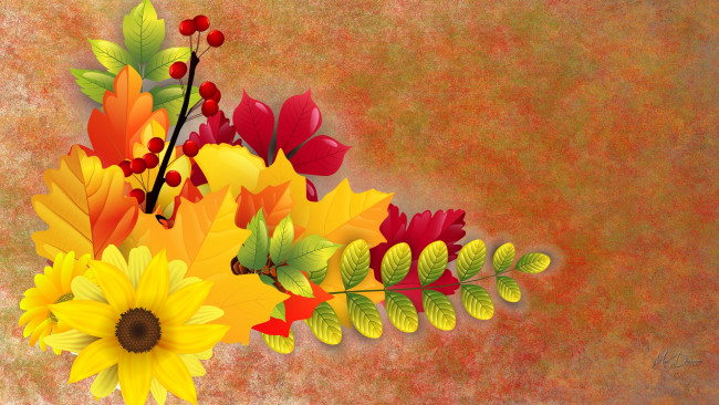 Обои картинки фото векторная графика, цветы , flowers, фон, цветы, листья