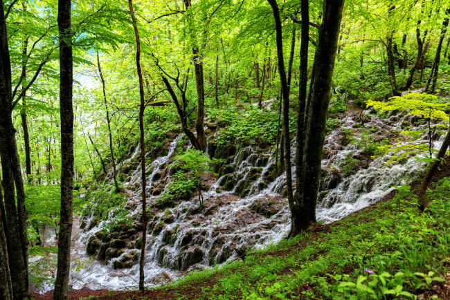 Обои картинки фото природа, водопады, лес, река, камни