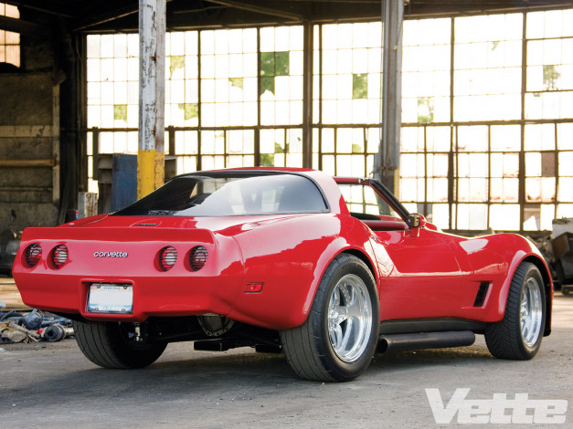 Обои картинки фото 1981, chevrolet, corvette, автомобили