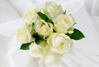 Картинка цветы розы белый букет