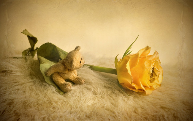 Обои картинки фото цветы, розы, бутон, игрушка, мишка