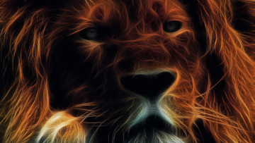 Картинка разное компьютерный+дизайн лев темный