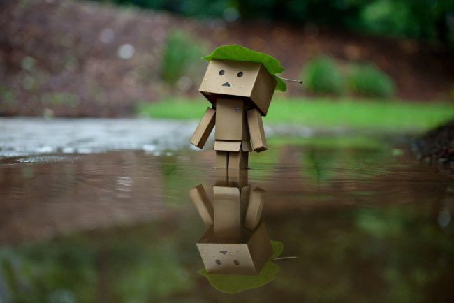 Обои картинки фото разное, данбо , danboard, вода, коробочка