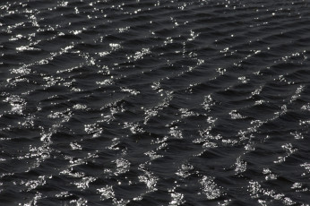 Картинка природа вода рябь чёрно-белая тёмная волны