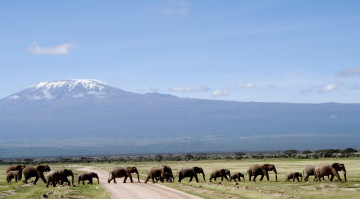 Картинка животные слоны дорога гора небо заповедник
