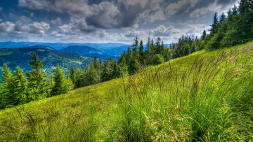 Картинка природа пейзажи облака трава склон горы