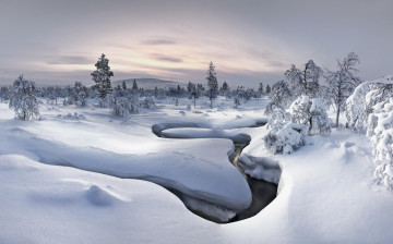 Картинка природа зима река лес снег