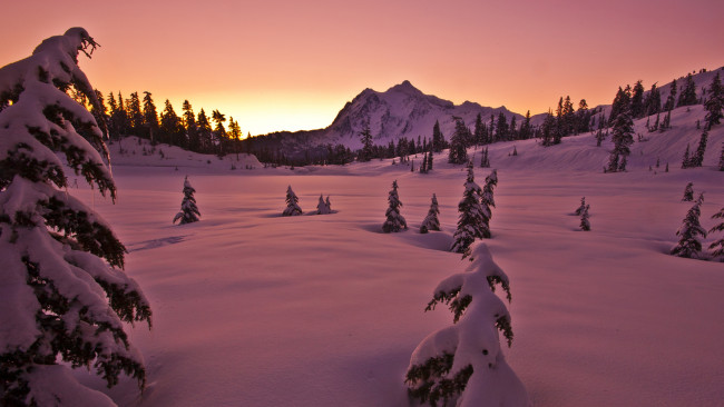 Обои картинки фото природа, зима, закат, небо, гора, деревья, снег