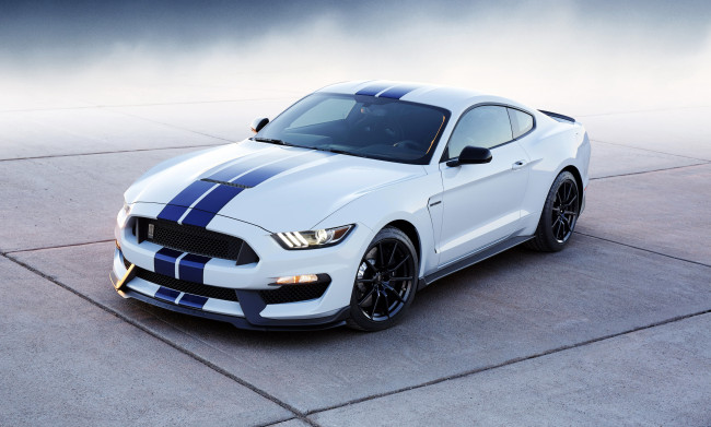 Обои картинки фото 2015 ford mustang shelby gt350, автомобили, mustang, ford, тюнинг, белый, shelby