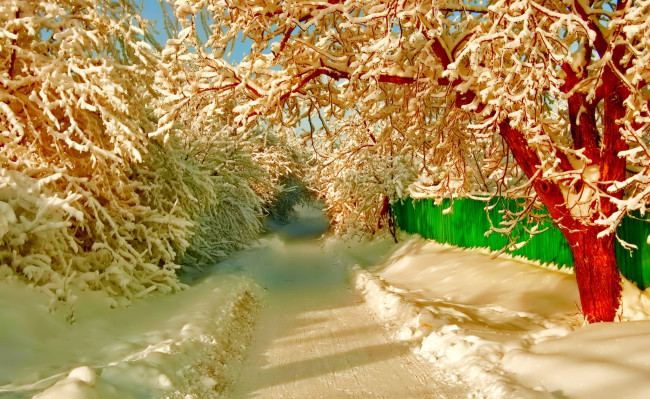 Обои картинки фото природа, зима, снег, дорога, улица, забор, деревья