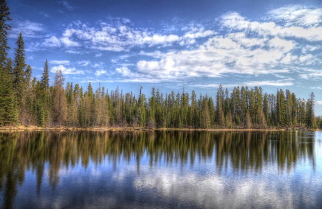 Обои картинки фото природа, реки, озера, облака, река, лес, отражение