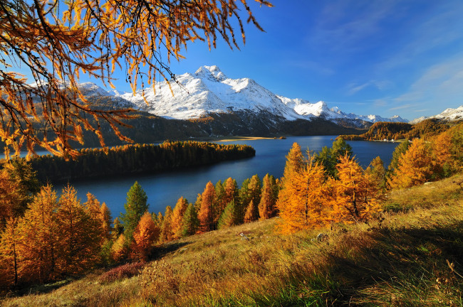 Обои картинки фото озерозильс швейцария, природа, реки, озера, деревья, осень, озеро, зильс, швейцария