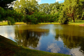 Картинка природа парк пруд