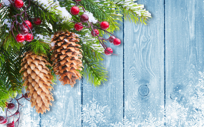 Обои картинки фото праздничные, - разное , новый год, merry, рождество, зима, снег, шишки, елка, decoration, christmas, snow, winter, новый, год