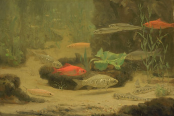 Картинка рисованное живопись аквариум рыбки