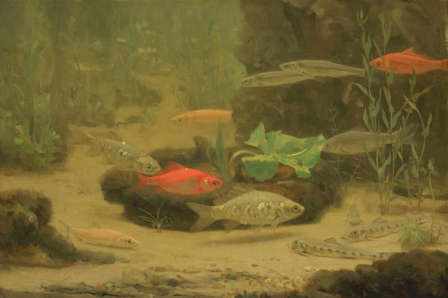 Обои картинки фото рисованное, живопись, аквариум, рыбки