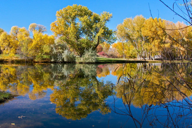 Обои картинки фото природа, реки, озера, озеро, парк, отражение, небо, осень, деревья, пруд
