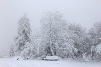 Картинка природа зима скамья снег парк