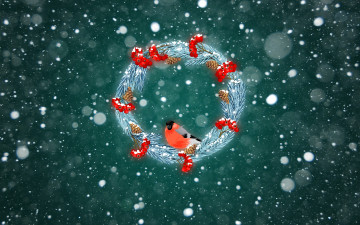 Картинка праздничные векторная+графика+ новый+год снег рождество новый год зима минимализм венок снегирь праздник настроение фон