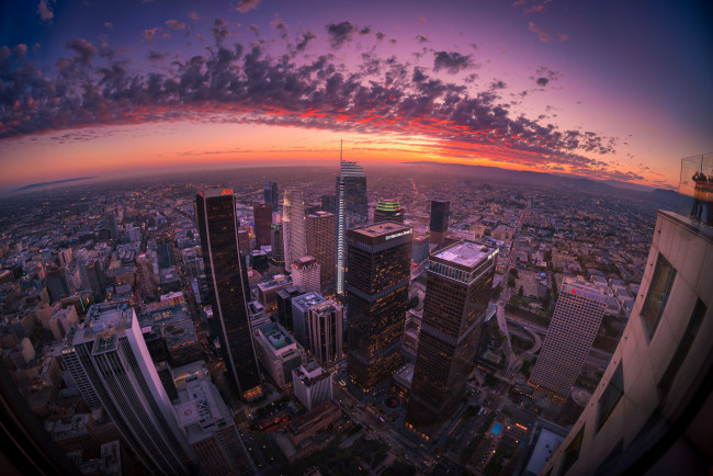 Обои картинки фото los angeles, города, лос-анджелес , сша, небоскребы, панорама, ночь