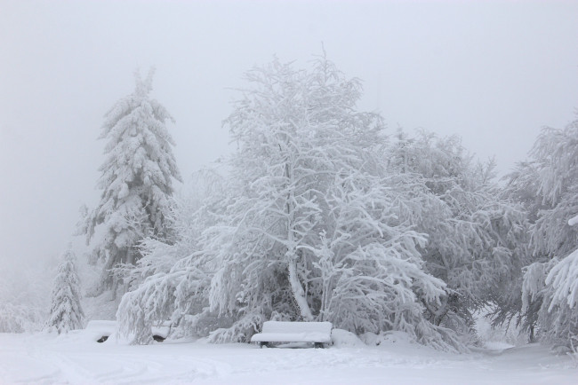 Обои картинки фото природа, зима, скамья, снег, парк