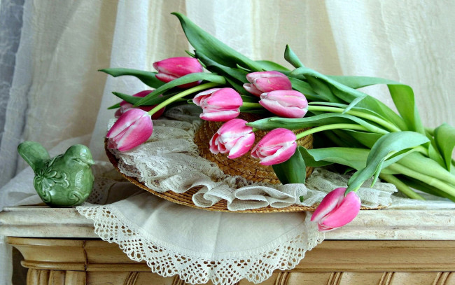 Обои картинки фото цветы, тюльпаны, шляпа, бутоны