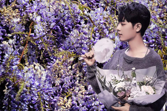обоя мужчины, xiao zhan, актер, цветы, веер, свитер