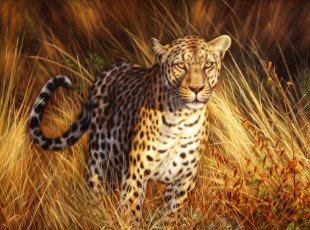 Картинка рисованные животные леопард