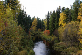 Картинка природа нижневартовска реки озера лес деревья осень река