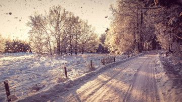 Картинка зима природа снег дорога ограда деревья