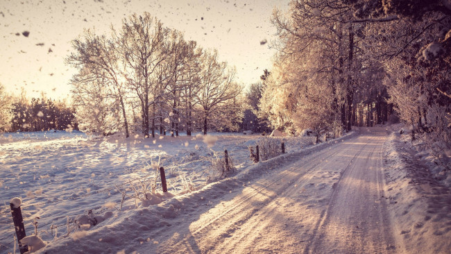 Обои картинки фото зима, природа, снег, дорога, ограда, деревья