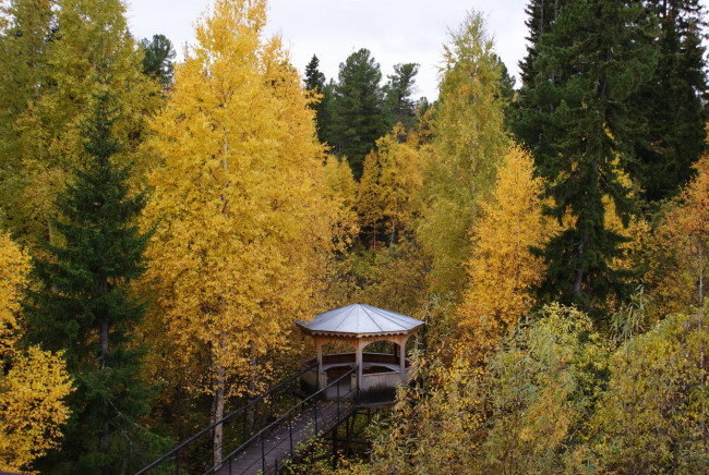 Обои картинки фото природа, нижневартовска, лес, деревья, осень, беседка, мост