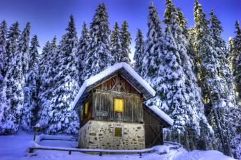 Картинка природа зима снег дом лес швейцария альпы