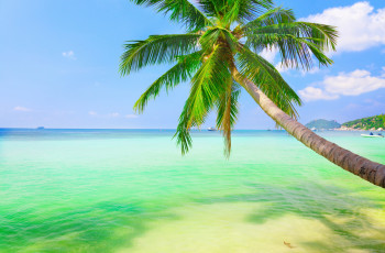 Картинка природа тропики пляж море clouds облака небо пейзаж пальма coconut palm weeping sea sky landscape nature